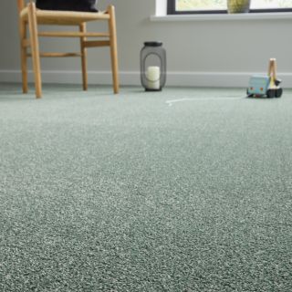 Carpet at discount